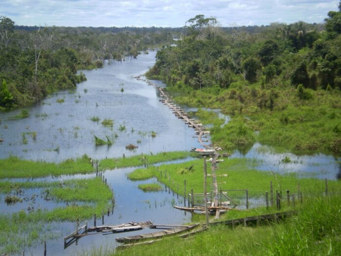 Floresta Balata Tufari, na amazônia.