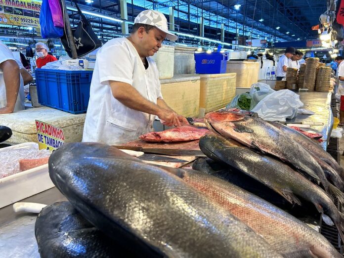 Quaresma: Feira da Manaus Moderna intensifica vendas de peixes