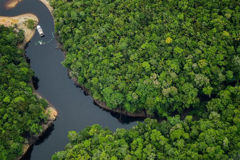 Após encontro entre os presidentes Lula e dos Estados Unidos, Joe Biden, os americanos anunciaram que vão fazer doações ao Fundo Amazônia.
