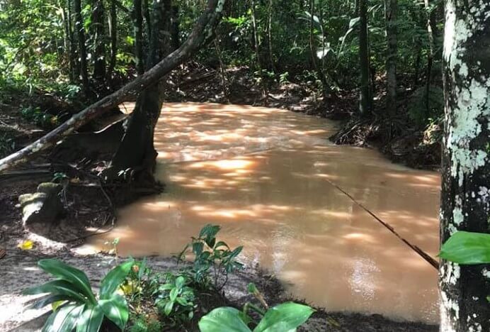 Situação do Igarapé Água Branca em Manaus