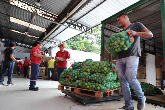 Secretaria de Educação abastece escolas da capital com alimentos oriundos da agricultura familiar