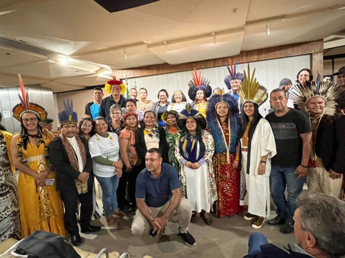 Amazonas participa de reunião com ministra dos Povos Indígenas para ampliar políticas públicas