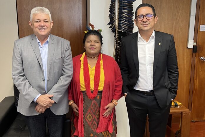 Vereador e deputado do AM discutem políticas indígenas com ministra Sônia Guajajara
