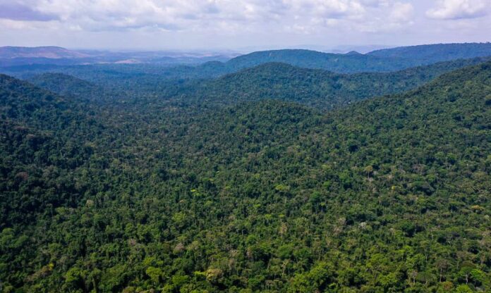 Amazônia Legal - Floresta