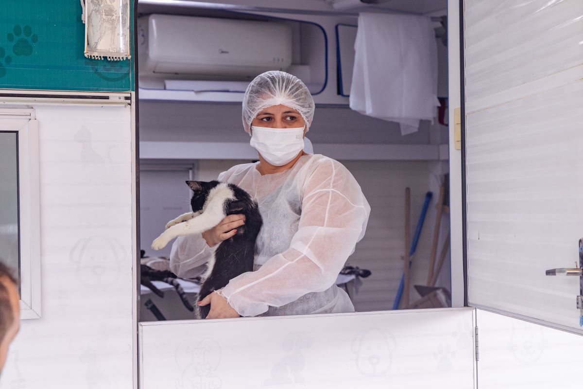 Serviço de castração de cães e gatos da prefeitura abre novos agendamentos na segunda-feira, 3/3