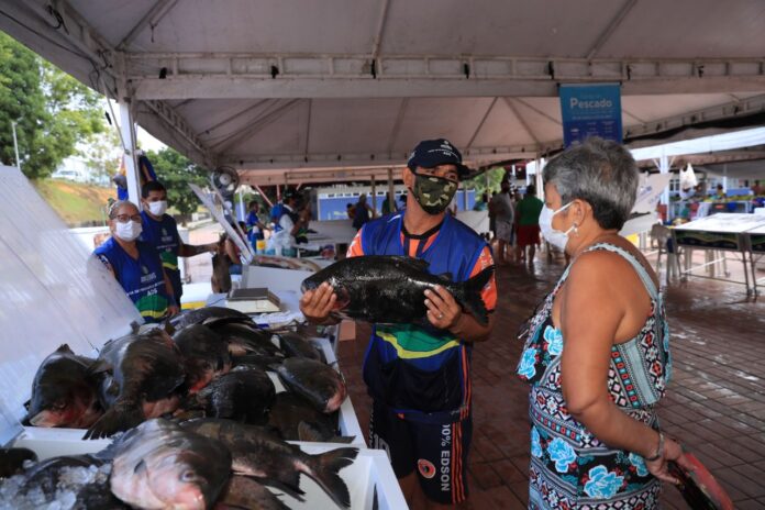 Wilson Lima anuncia doação de peixe às instituições assistenciais do Estado e a programação do Feirão do Pescado 2023