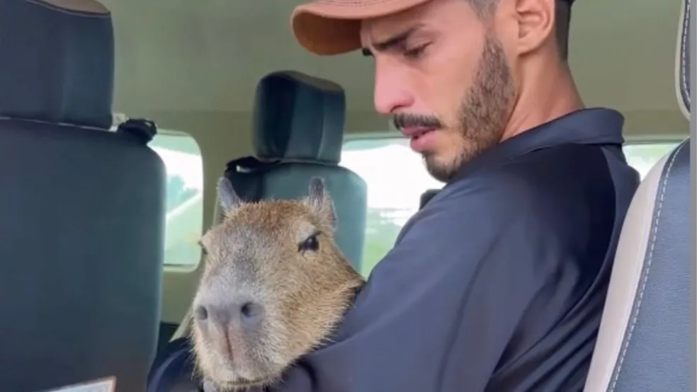Agenor e Filó: animal é devolvido ao influencer após decisão judicial