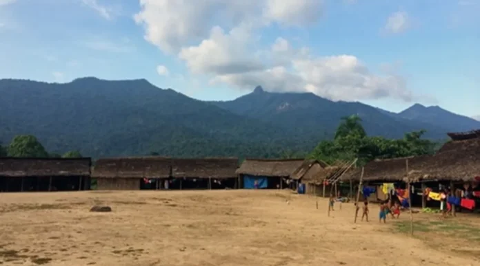 Investigação contemplou as cinco comunidades Yanomami do polo base Marari, no Amazonas, próximo à fronteira com a Venezuela.