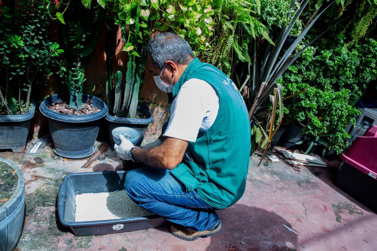 O 1º Levantamento do Índice Rápido do Aedes aegypti (LIRAa) revelou que Manaus apresenta um índice de infestação predial de 2,5%.