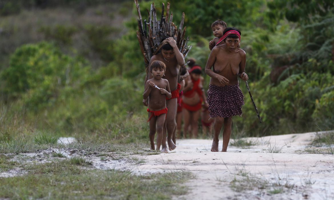 Três indígenas foram baleados no sábado (29)