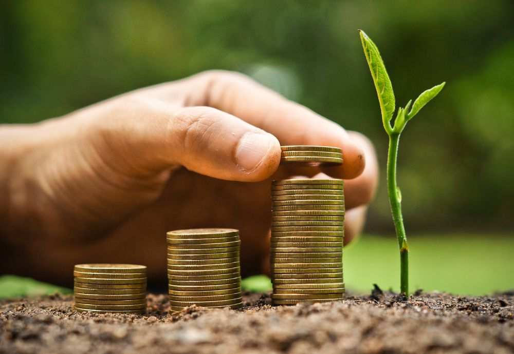 De acordo com o Governo Federal, o mercado de carbono deve mover $121 bilhões até 2025. O que isso significa para o Amazonas?