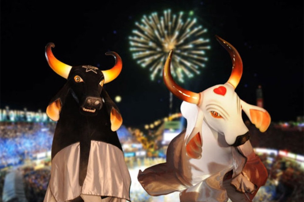 De acordo com a Amazonastur, o Festival de Parintins deve gerar uma injeção financeira de aproximadamente R$ 120 milhões.
