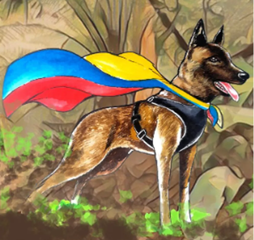 'Jamais se abandona um companheiro': militares da Colômbia afirmam que só vão parar após encontrarem cão Wilson