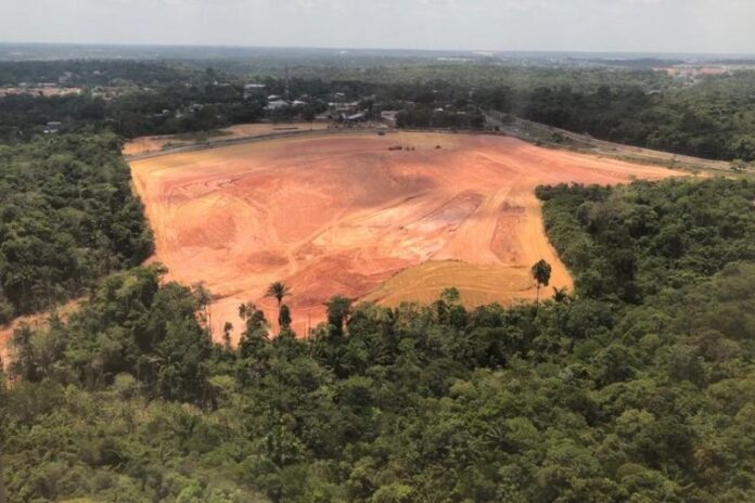A seguradora francesa Axa será responsável por financiar o reflorestamento de mais de 10 mil hectares de pastagens degradadas.