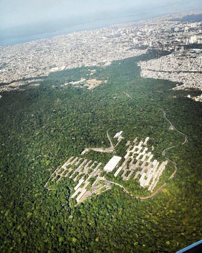 A APA Floresta Manaós é a terceira maior floresta urbana do mundo. FOTO: Reprodução/Redes sociais