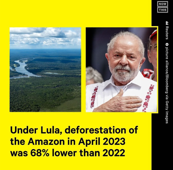 Leonardo DiCaprio compartilhou em seu perfil no Instagram uma notícia sobre a redução do desmatamento na Amazônia.