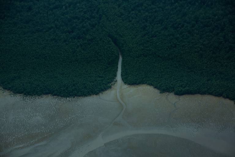 Foz do Rio Amazonas
