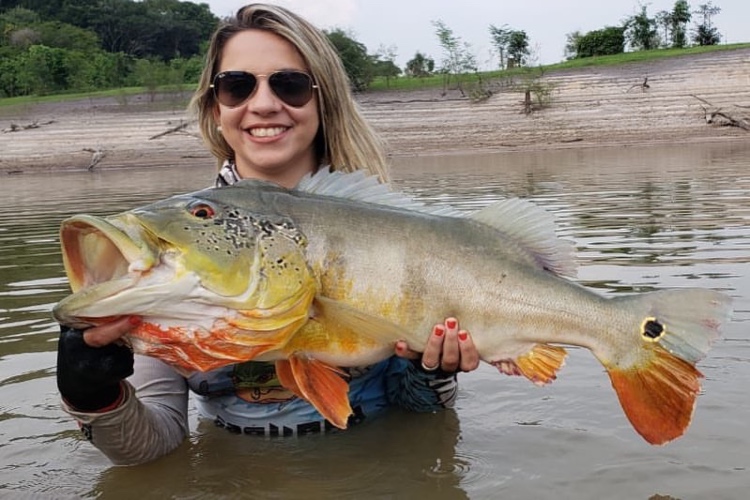 Pesca esportiva - tucunaré