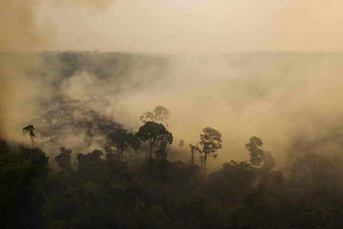 Incêndios no Amazonas