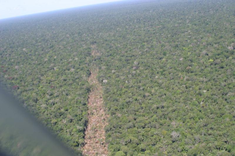 A Dinamarca deve fazer uma doação significativa ao Fundo Amazônia, contribuindo com mais de R$ 105 milhões (20 milhões de euros).