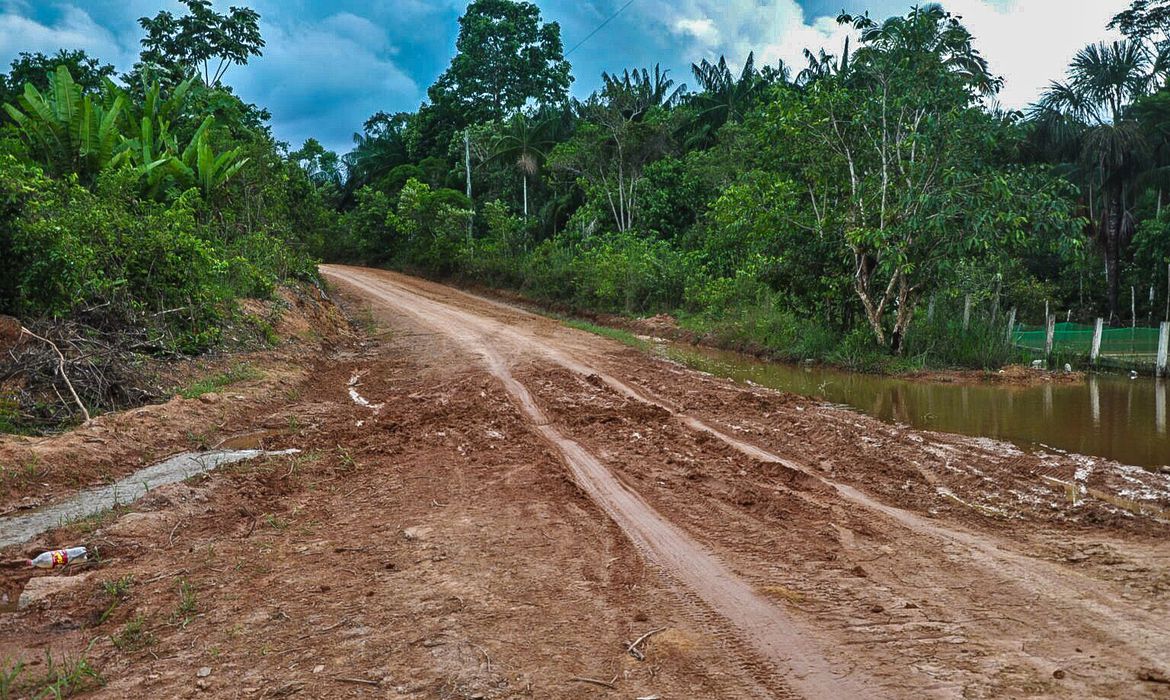 Abertura de ramais BR-319