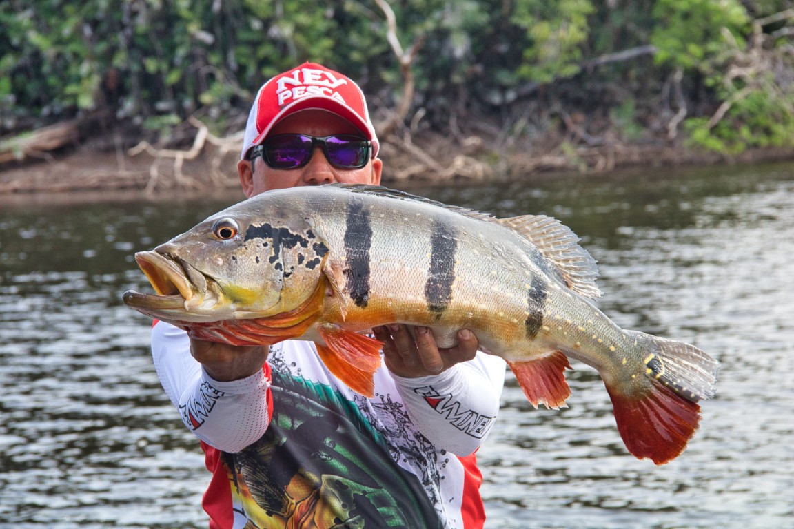 Pescador praticando pesca esportiva com tucunaré