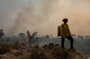 Queimadas na Amazônia