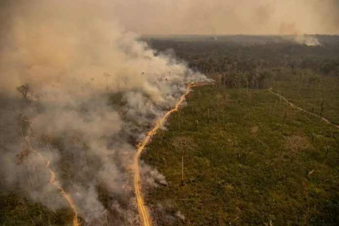 Queimadas na Amazônia