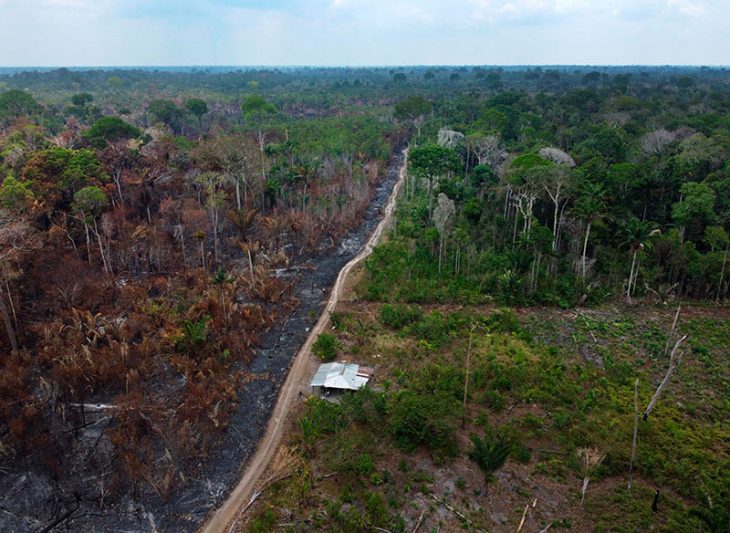 Ramais ligados à BR-319 levam fogo a áreas protegidas no as; estado  tem recorde de queimadas em setembro - Infoia