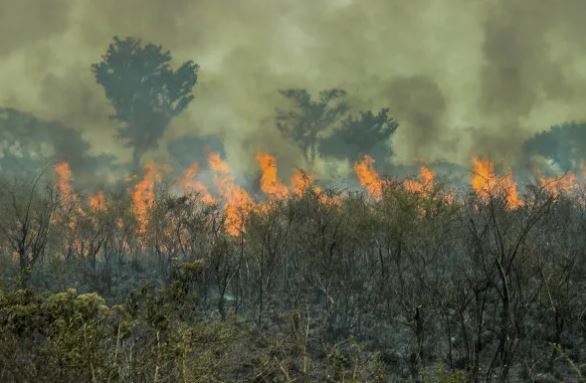 Amazonas registrou 3.925 focos de queimadas nos primeiros dez dias de setembro. Com isso, esse já é o segundo pior mês de setembro desde 2021.