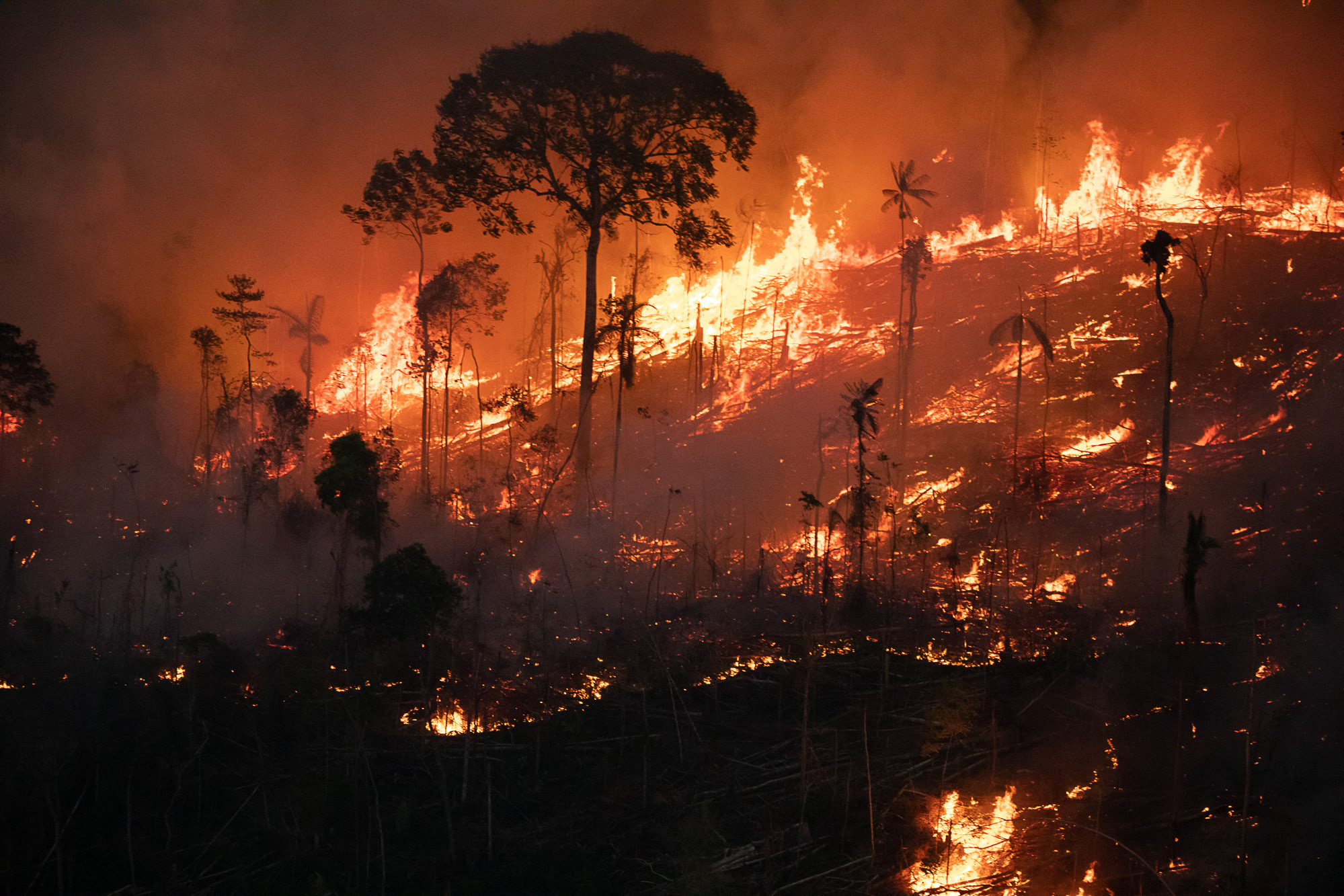 Queimadas na região Amazônica.