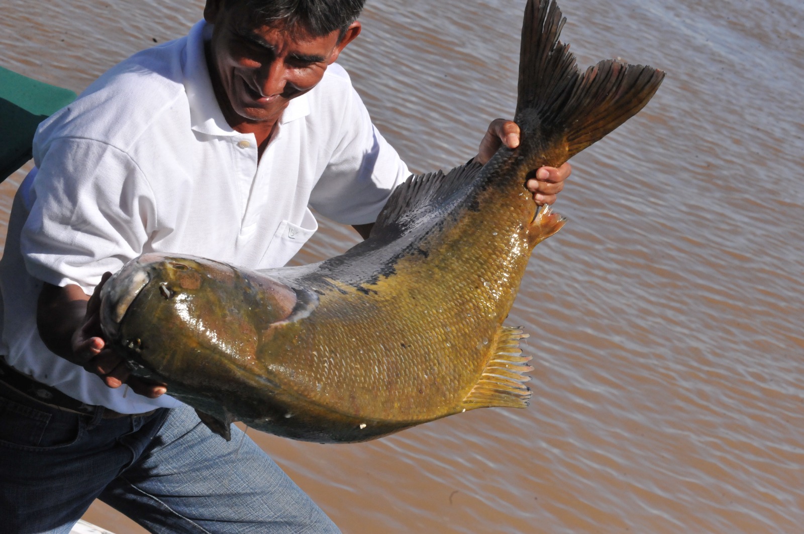 Pescador segurando um tambaqui.