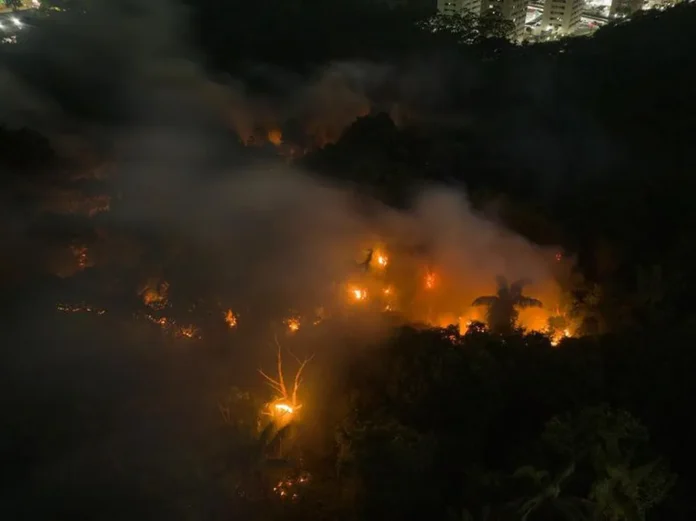 Foco de queimada em Manaus, no último dia 4 de outubro.