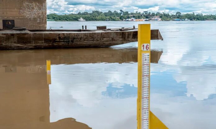 A seca severa que fez com que os afluentes do Amazonas, como os rios Madeira e Tapajós, atingissem o nível mais baixo em mais de um século