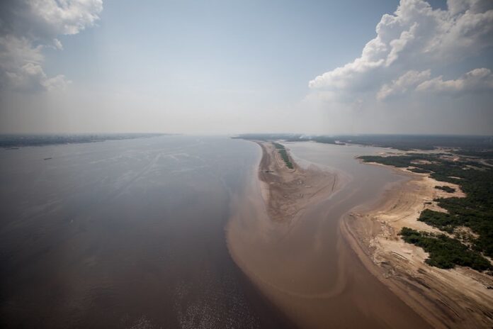 Seca: aplicativo vai mapear situação da fauna nos rios do Amazonas