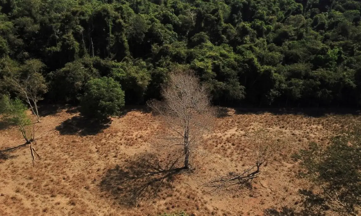 O Plano Amazônia: Segurança e Soberania é uma iniciativa do governo federal