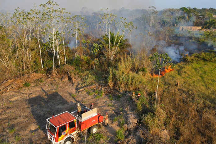 Incêndios no Amazonas