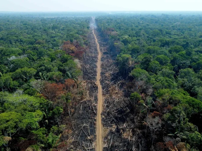 Parte desmatada na região Amazônica.