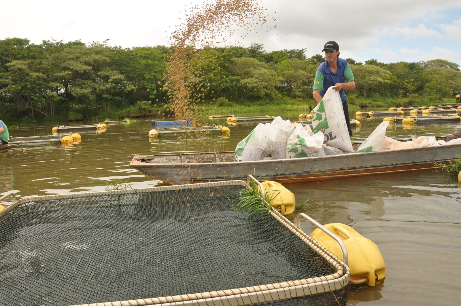 Piscicultura e aquicultura amazônicas possuem tecnologias únicas no mundo.