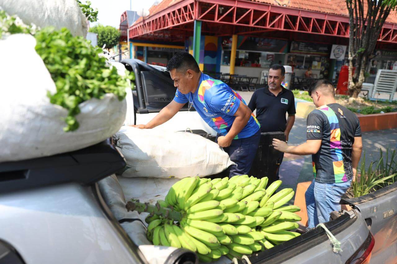 Produtos de agricultura familiar são adquiridos pelo governo e utilizado em merendas escolares e doações.