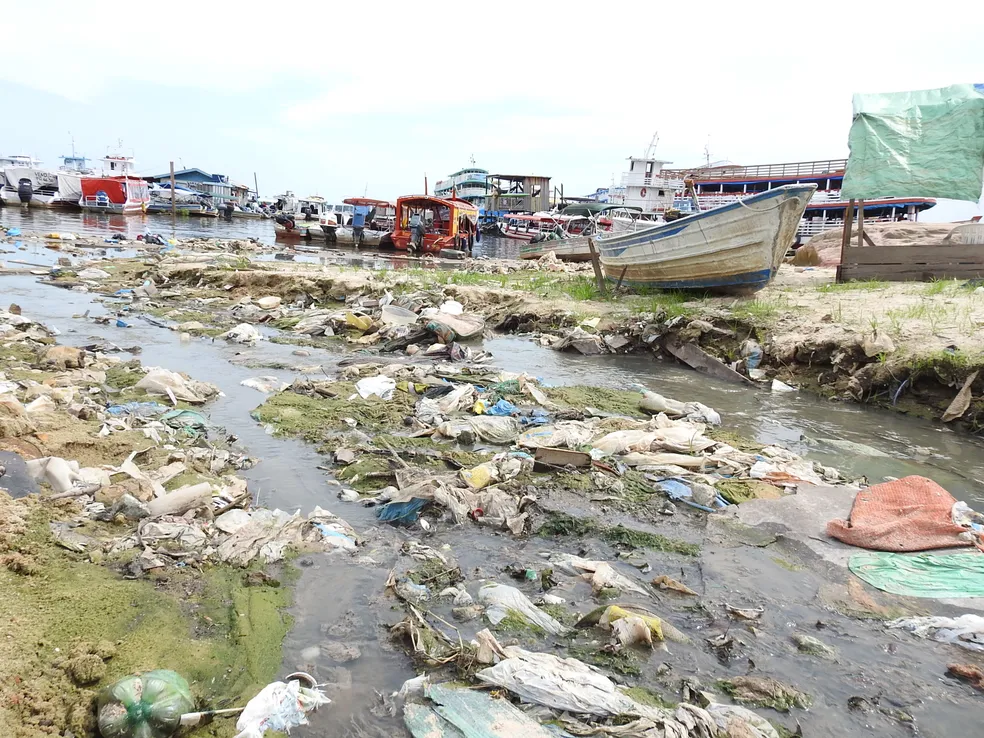 falta de banheiro em residências do Amazonas