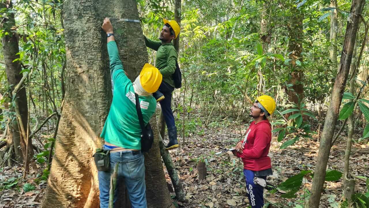 Resoluções do governo do estado e Planos de Manejo são os principais fatores para redução do desmatamento.