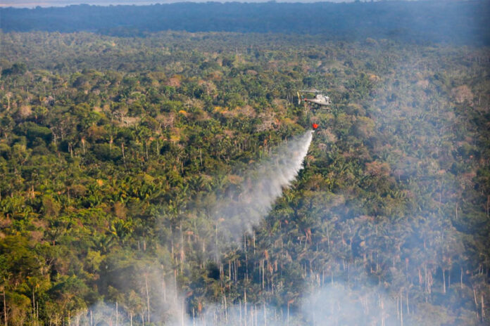 A Noruega anunciou uma nova doação de R$ 245 milhões ao Fundo Amazônia durante a COP28 em Dubai.
