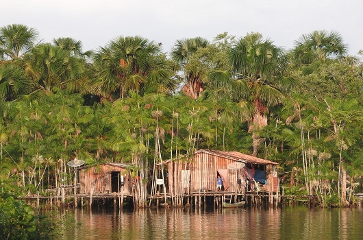 Edital 'Amazônia Resiliente' contemplará projetos de proteção ambiental sediados na Amazônia.