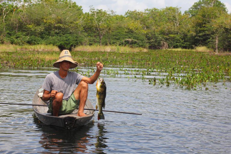 O cronograma para pagamento do auxílio para pescadores artesanais de municípios da Região Norte afetados pela estiagem foi liberado.