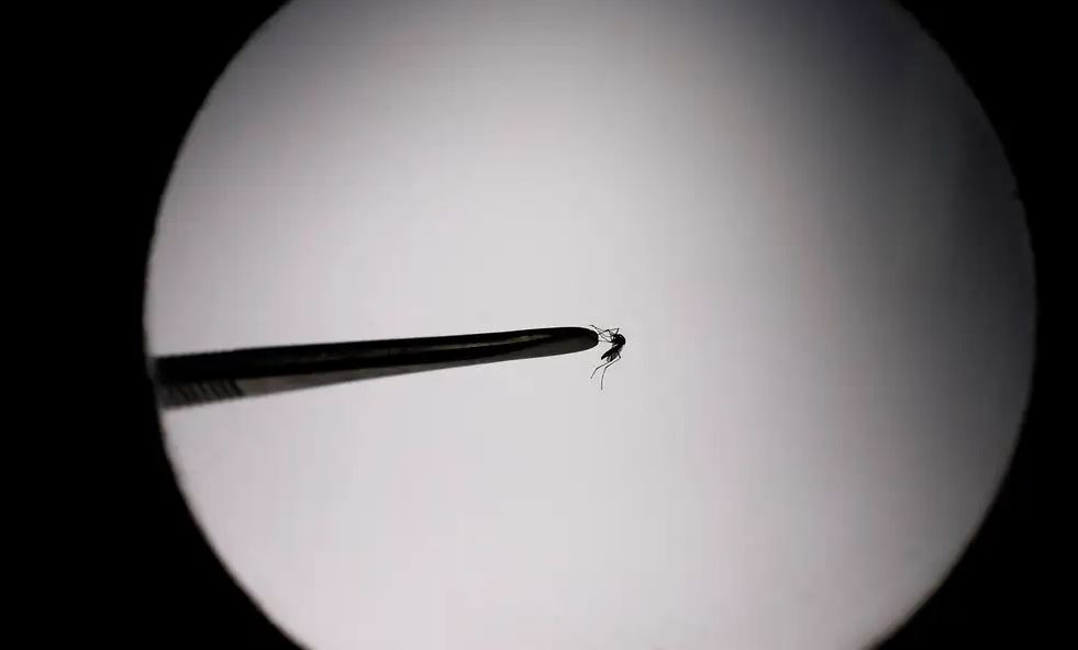 O Brasil bateu recorde de mortes por dengue no ano de 2023. Dados divulgados revelam que foram 1.079 mortes.
