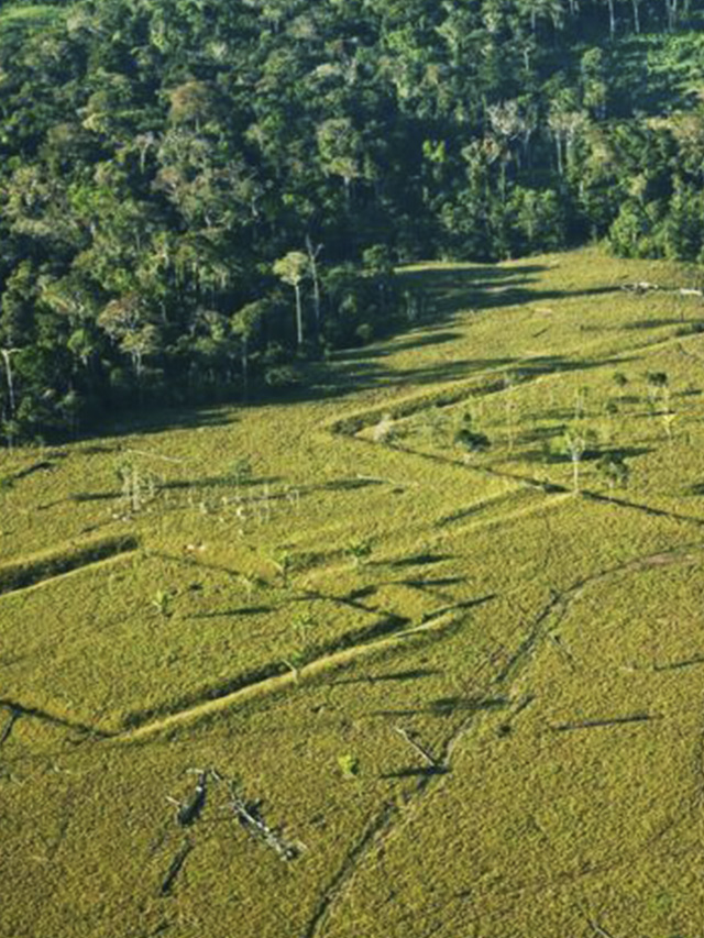 10 Mil Sítios Arqueológicos Escondidos na Amazônia
