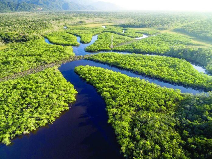 Record histórico, amazonas registra o maior tremor de terra do Brasil