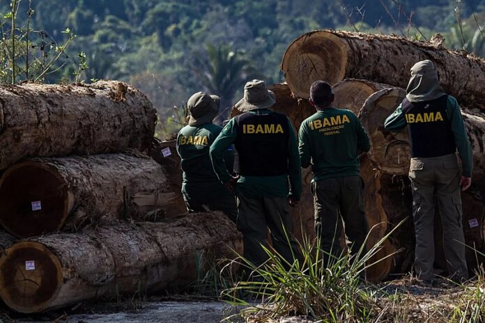 Fiscais do Ibama em serviço.