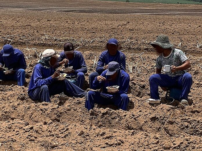 Alguns dos trabalhadores resgatados em situação de trabalho escravo.